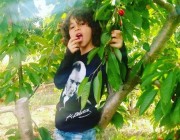 Ayaz Akgül kimdir?
