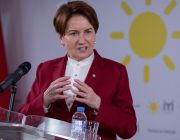 Meral Akşener kimdir?