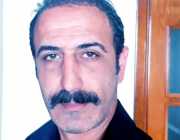Taylan Tekci kimdir?